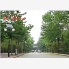 太陽能路燈誠招全國代理加盟